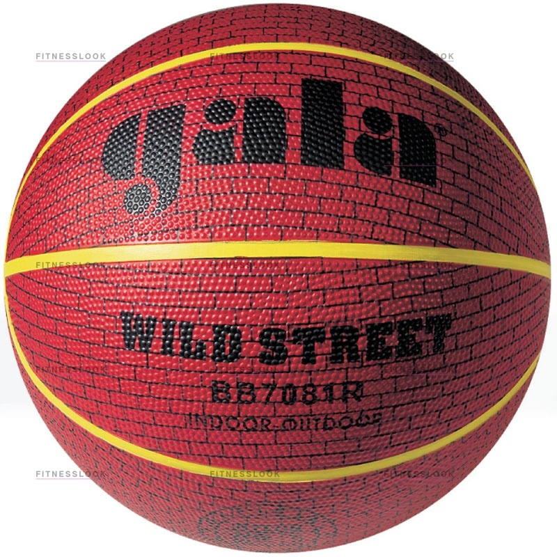 Gala Wild Street 7 из каталога баскетбольных мячей в Уфе по цене 990 ₽