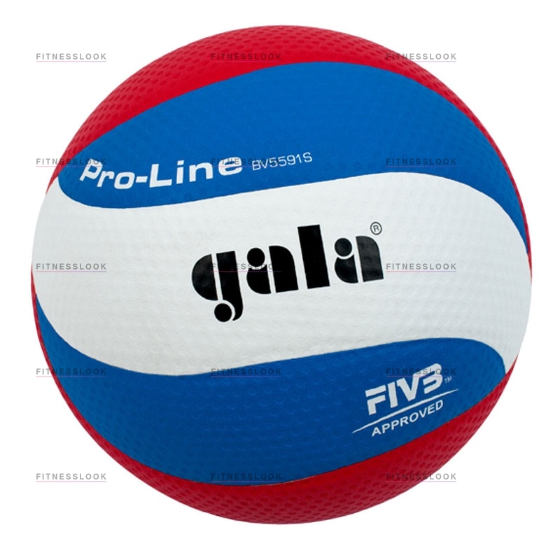 Pro-line в Уфе по цене 3030 ₽ в категории баскетбольные мячи Gala
