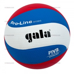 Gala Pro-line из каталога баскетбольных мячей в Уфе по цене 2640 ₽