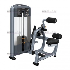 Precor DSL313 - разгибание спины из каталога грузоблочных тренажеров в Уфе по цене 444810 ₽