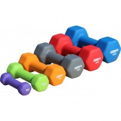 3 кг.  PF-VDB-3 в Уфе по цене 940 ₽ в категории гантели для фитнеса Profi Fit