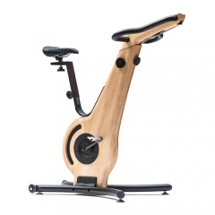 NOHrD Bike - ясень из каталога велотренажеров в Уфе по цене 459413 ₽